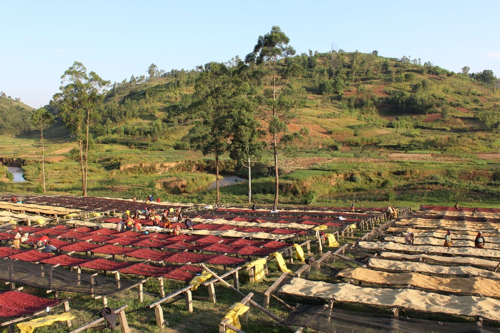 Burundi Gakenke WS