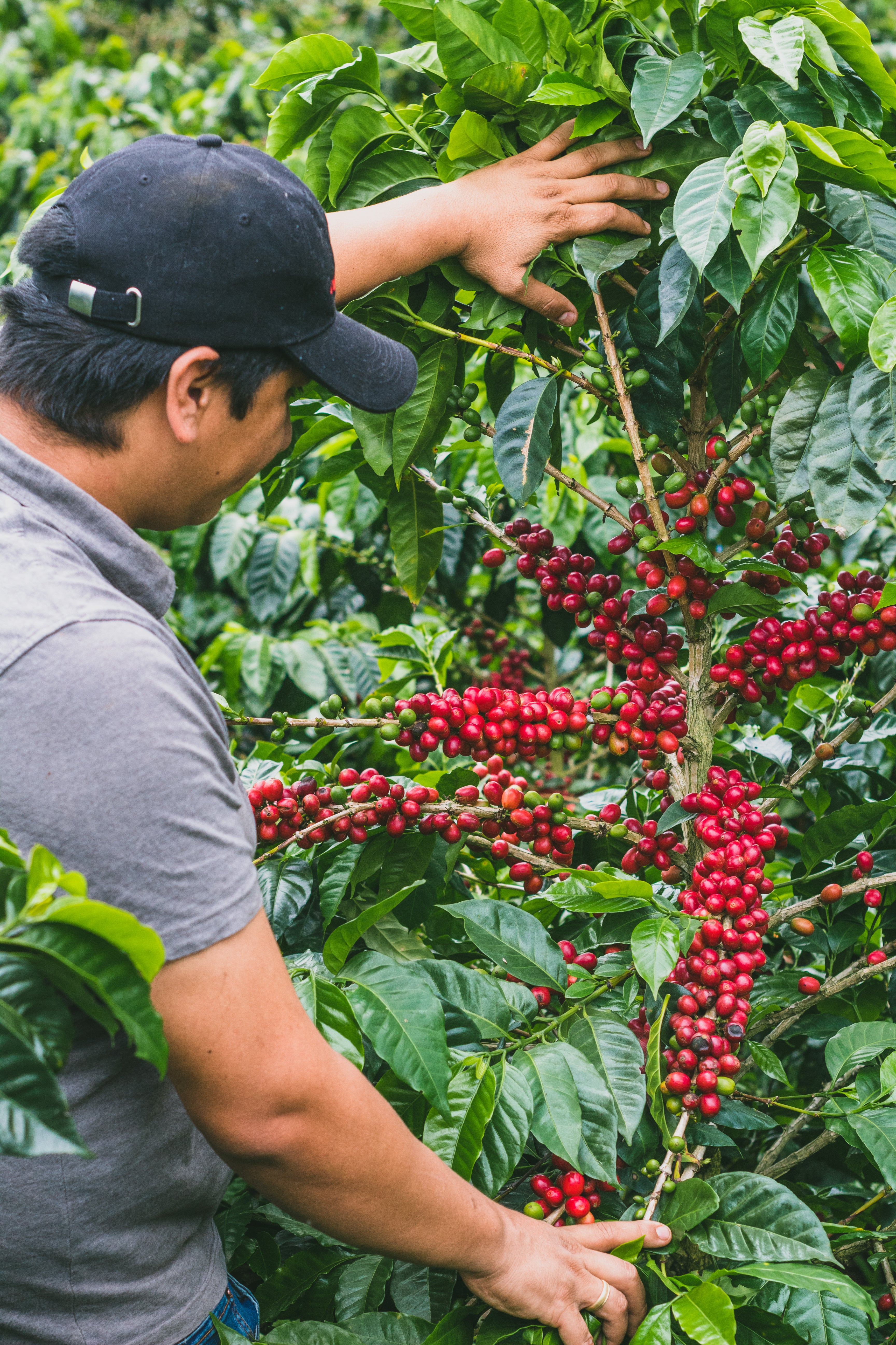 Monteblanco-Rodrigo-Sanchez