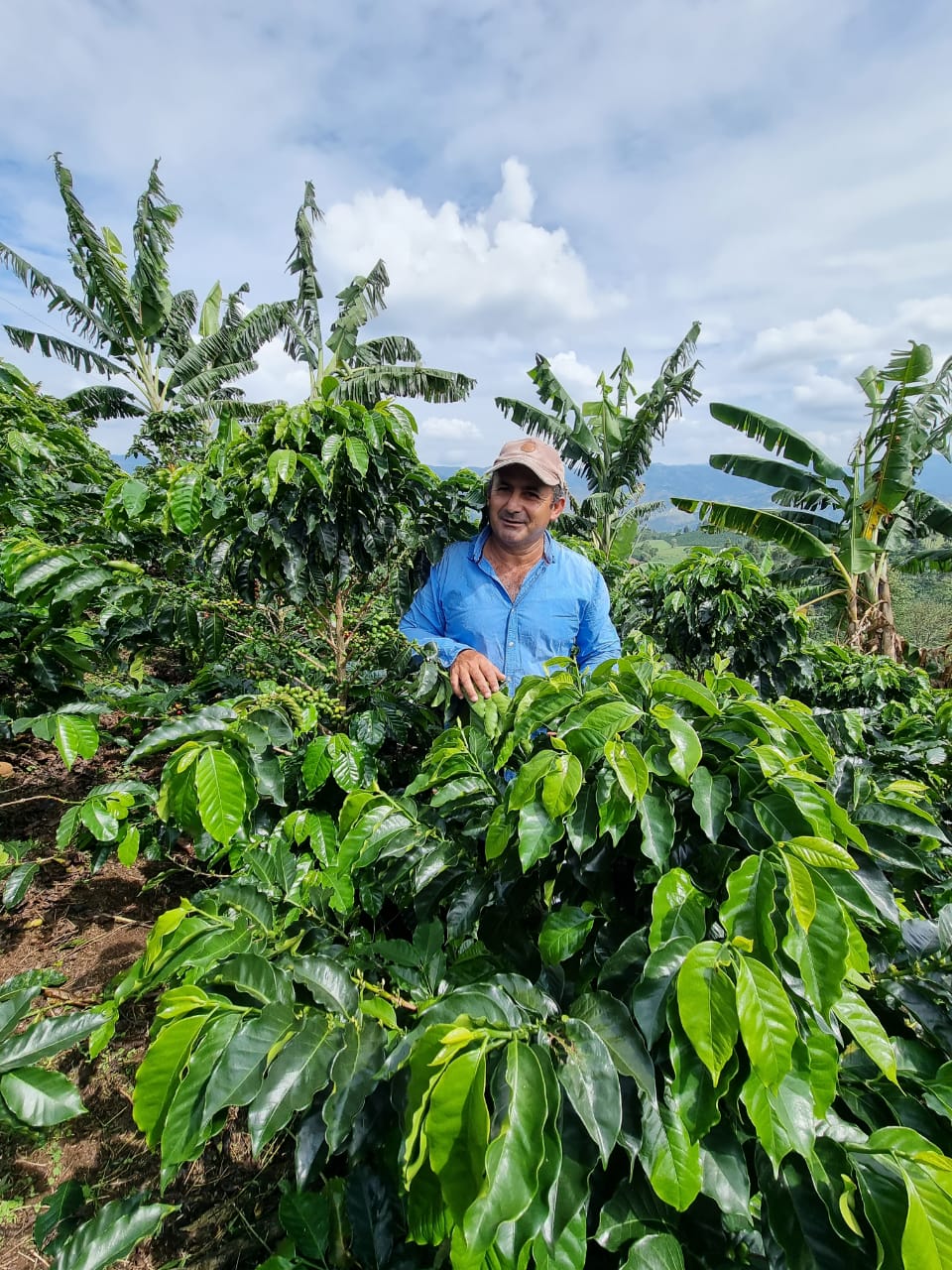 Finca El Recreo - Alirio Rodriguez