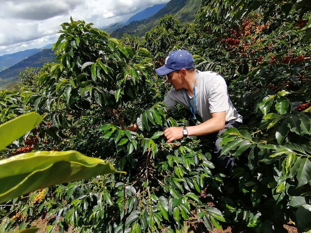 Miller Bustos na farmě Finca El Mirador