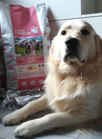 Reference alergickypes.cz