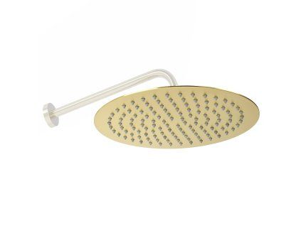 Dažďová sprcha Rea Gold  25cm