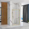 Sprchové dvere Rea Alex 100 Gold Brush
