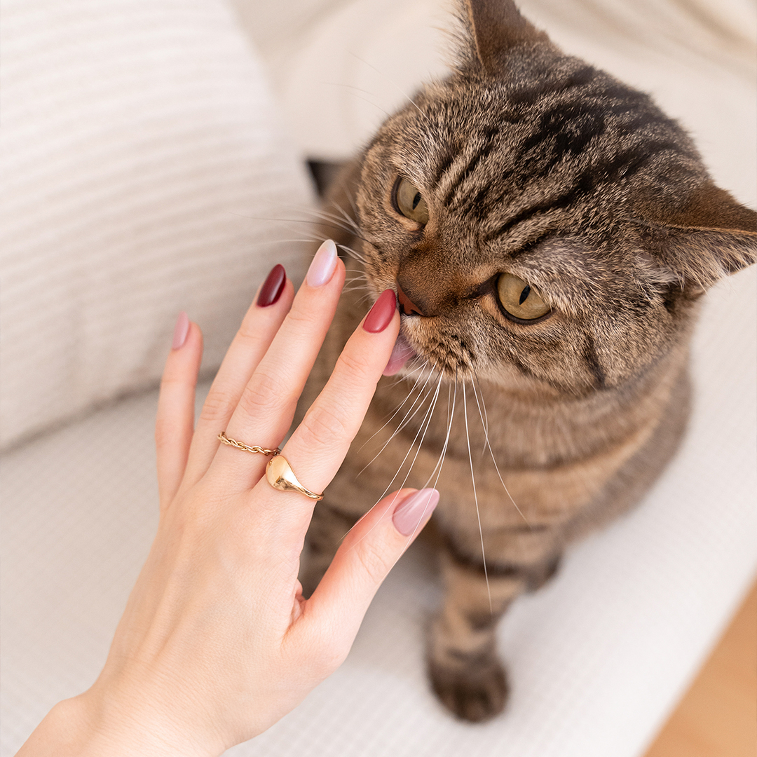 Co znamená, když je nehtová kosmetika VEGAN?