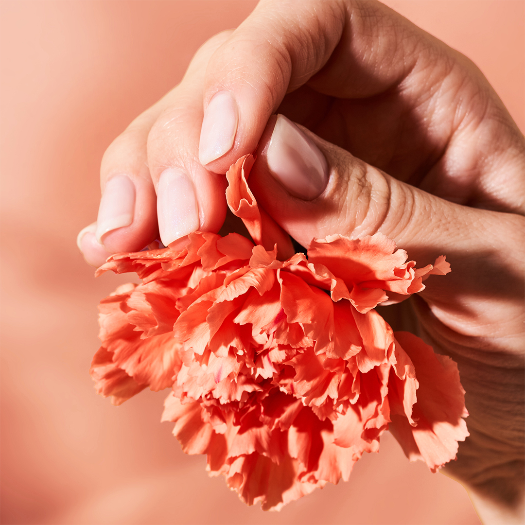 Sleva ke dni MDŽ – 20 % na maloobchodní sortiment!