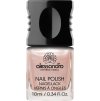 Klasický lak na nehty SHIMMER SHELL 10 ml