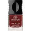 Klasický lak na nehty SHINY AUBERGINE 10 ml