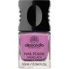 Klasický lak na nehty SILKY MAUVE 10 ml
