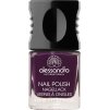 Klasický lak na nehty DARK VIOLET 10 ml