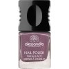 Klasický lak na nehty DUSTY PURPLE 10 ml