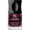Klasický lak na nehty PURPLE PURPOSE 10 ml