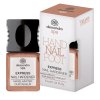 43 564 Nagelhaerter Express Hazelnut 10ml FAKE FINAL beide 1920x1920