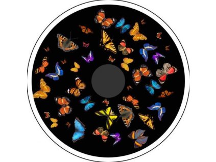 1308 obrazovy disk magneticky motyli 2 pro led graficky projektor