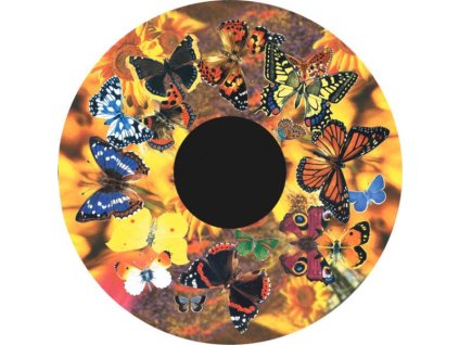 372 obrazovy disk magneticky motyli pro led graficky projektor