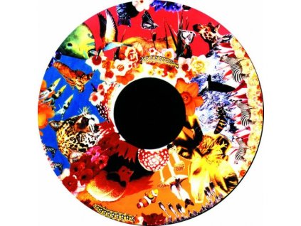 Obrazový disk magnetický safari pro LED-Grafický projektor