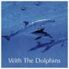 1731 cd with the dolphins