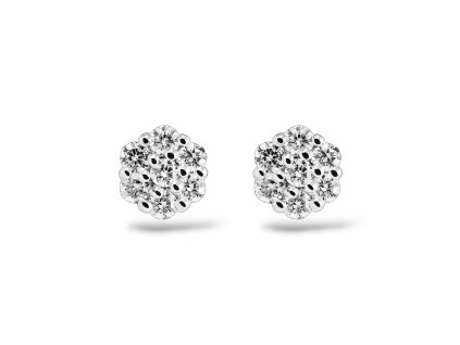 N 039 BPD nausnice zlato diamant