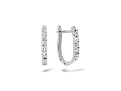 N 001 BKD nausnice zlato diamant