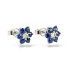N 041 BPDS nausnice zlato diamant safir