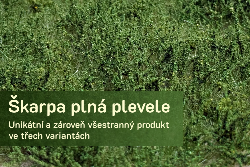 škarpa