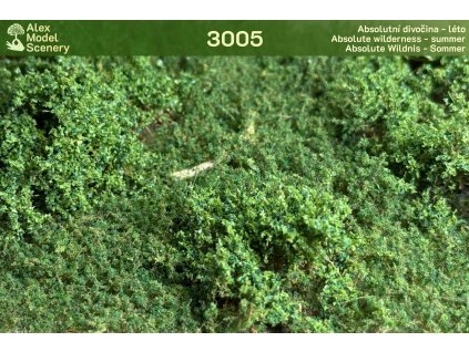 Absolutní divočina - léto