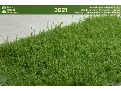 Plevel mezi kolejemi - jaro