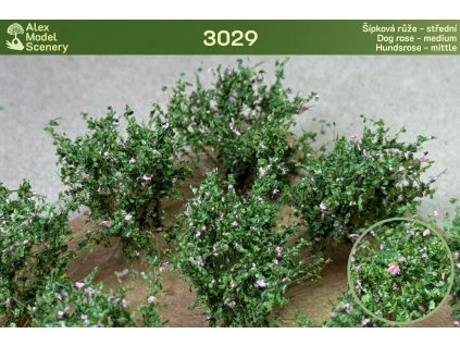 Šípková růže - střední 9 ks