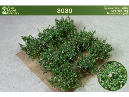 Šípková růže - velká 9 ks