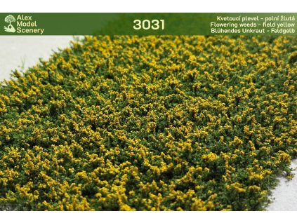 Kvetoucí plevel - polní žlutá
