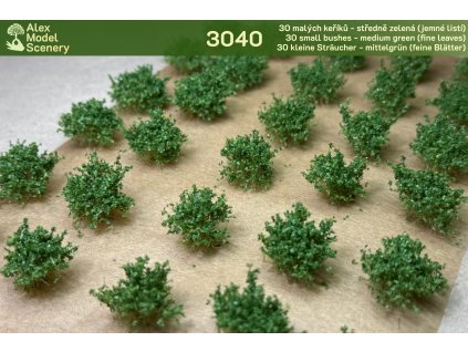 30 malých keříků - středně zelená (jemné listí)