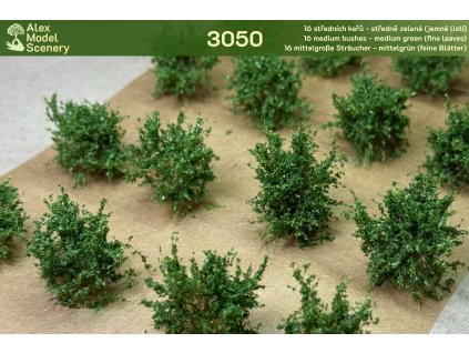 16 středních keřů - středně zelená (jemné listí)