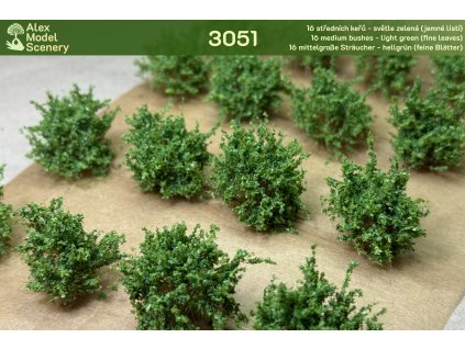 16 středních keřů - světle zelená (jemné listí)