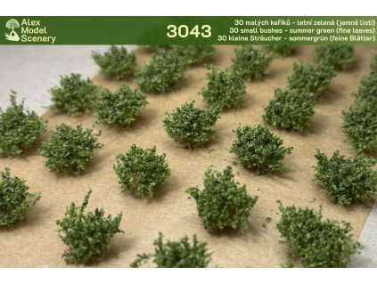 30 malých keříků - letní zelená (jemné listí)