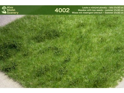 Louka s nízkými plevely - léto