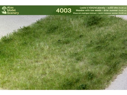 Louka s nízkými plevely - sušší léto