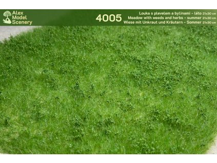 Louka s plevely a bylinami - léto