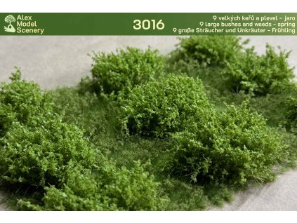 9 velkých keřů a plevel - jaro