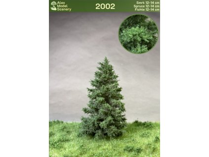 Smrk 12-14 cm