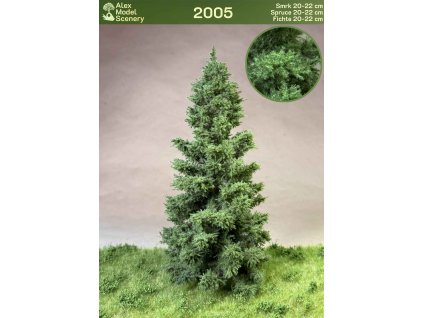 Smrk 20-22 cm