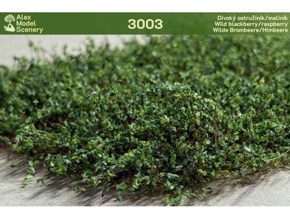 Divoký ostružiník/maliník H0+