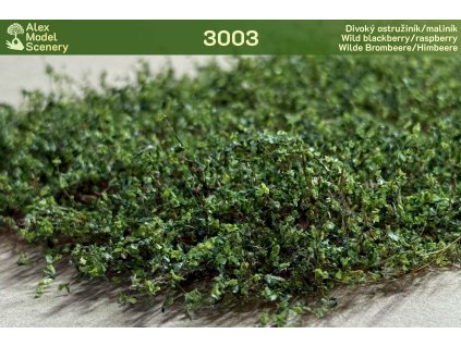 Divoký ostružiník/maliník