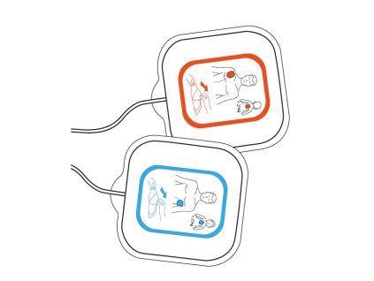 Bexen Reanibex 100 electrodes