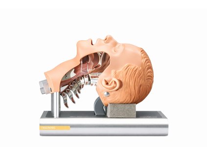 ChatGPT Image 21. 1. 2026 12 23 58