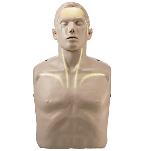 BRAYDEN - resuscitační figurína KPR dospělého Barva: Bílé podsvícení