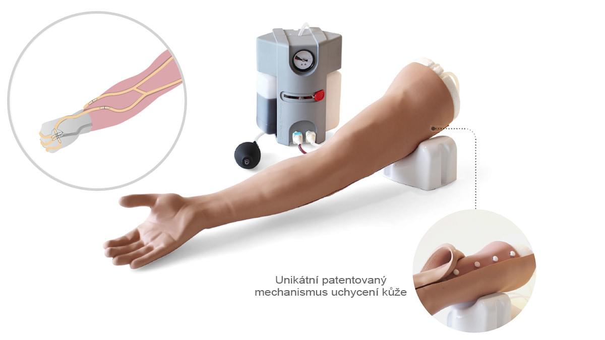 Model paže pro nácvik venepunkce – pokročilý