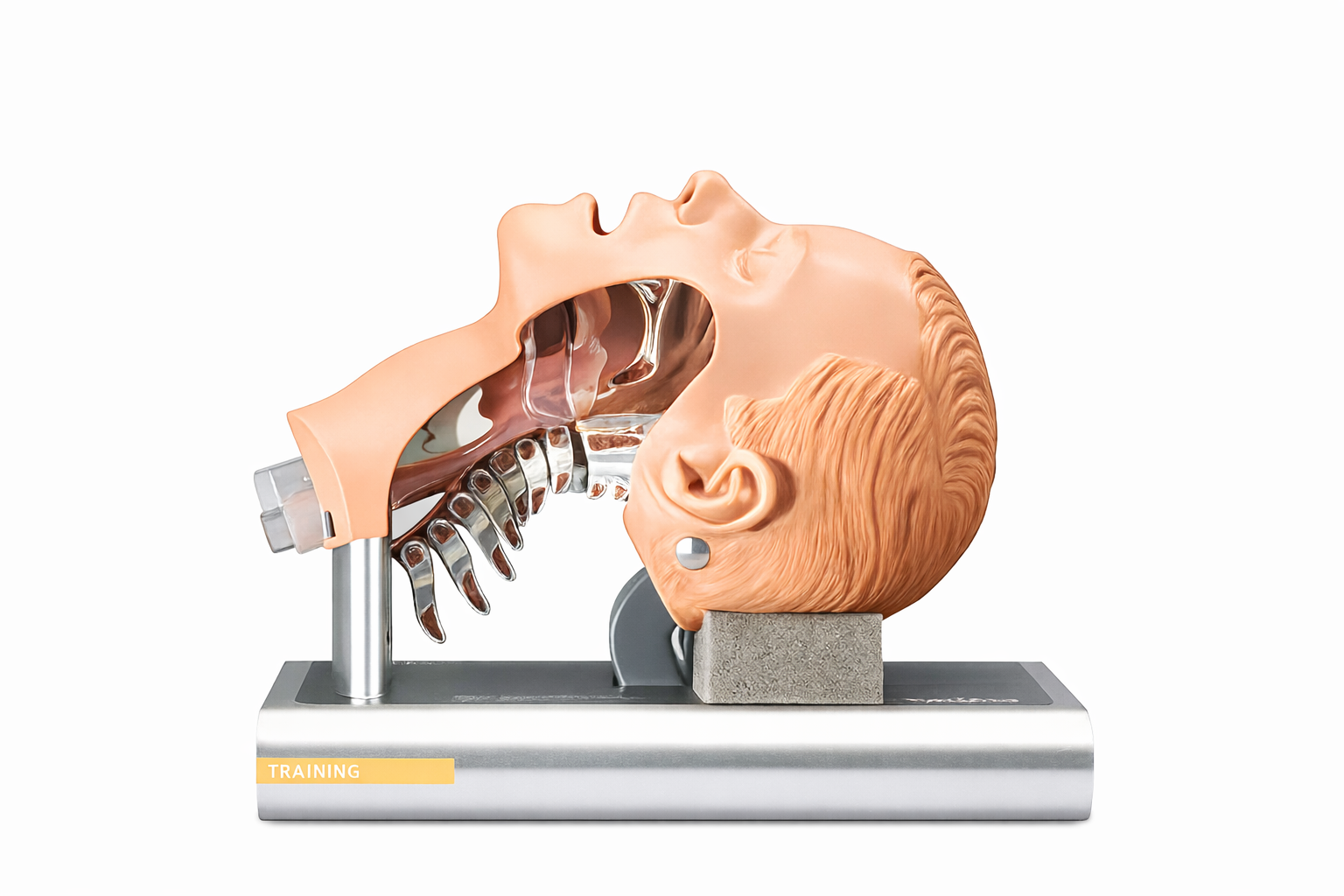AMBU Ambu Intubační trenažér