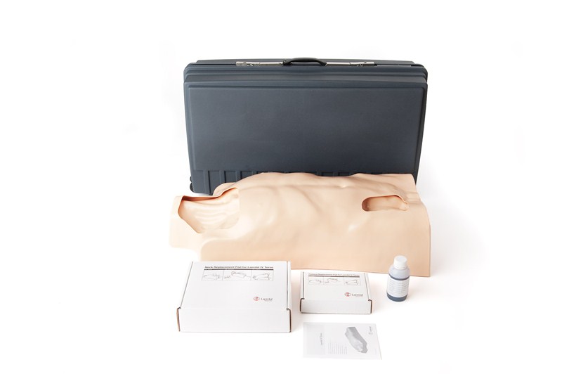 Laerdal Medical Laerdal IV Torso - trenažér k nácviku zajištění centrálního žilního přístupu