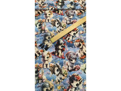 Zimní softshell poníci