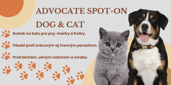 Advocate mobil