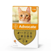 vyr 2565 advocate cat s web 1024x1024